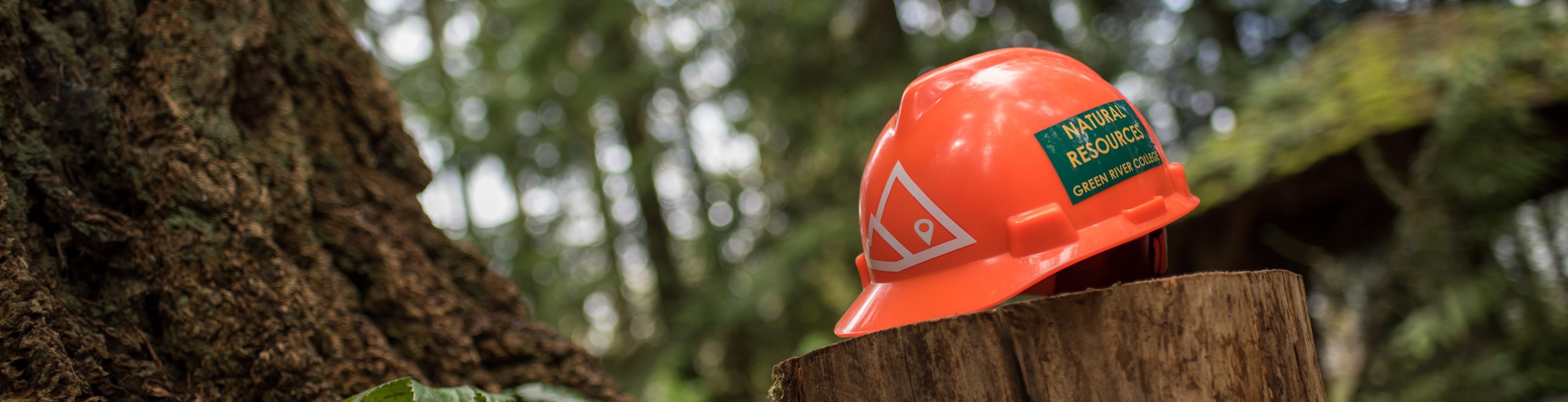 Helmet Image